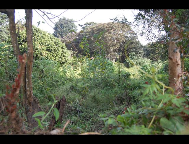 1,762M² VACANT LAND FOR SALE IN KLOOF